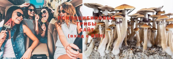гидропоника Балабаново