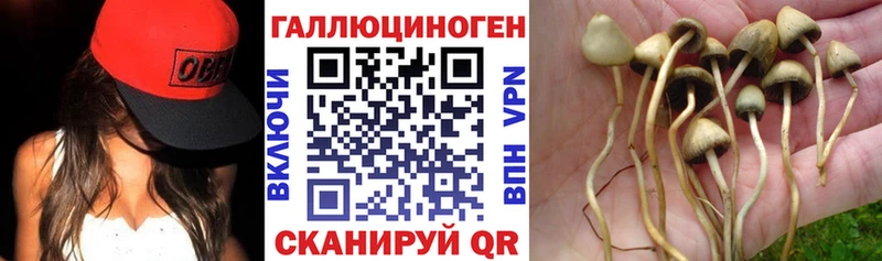 Псилоцибиновые грибы GOLDEN TEACHER  хочу   Феодосия 